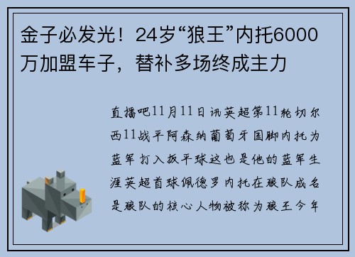 金子必发光！24岁“狼王”内托6000万加盟车子，替补多场终成主力